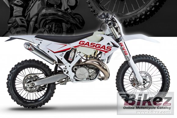 gas gas ec 300 for sale